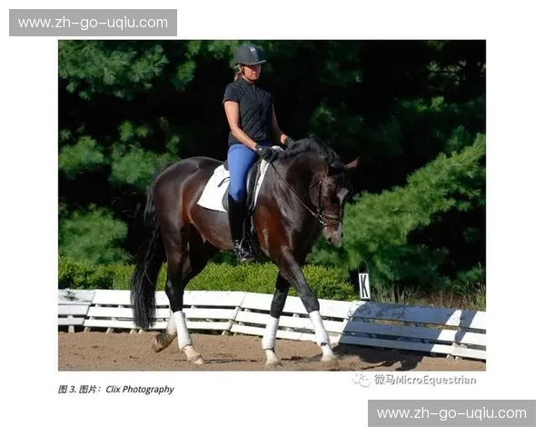 复盘马术：把每一次骑乘变成成长的契机