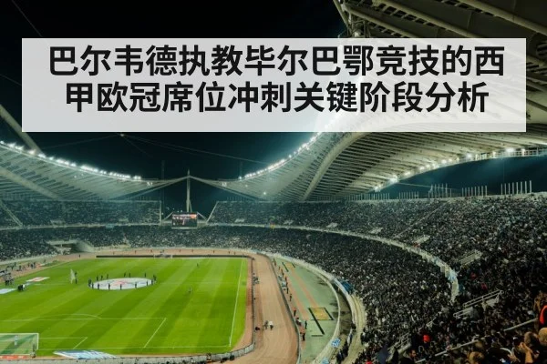 soccer stadium night crowd